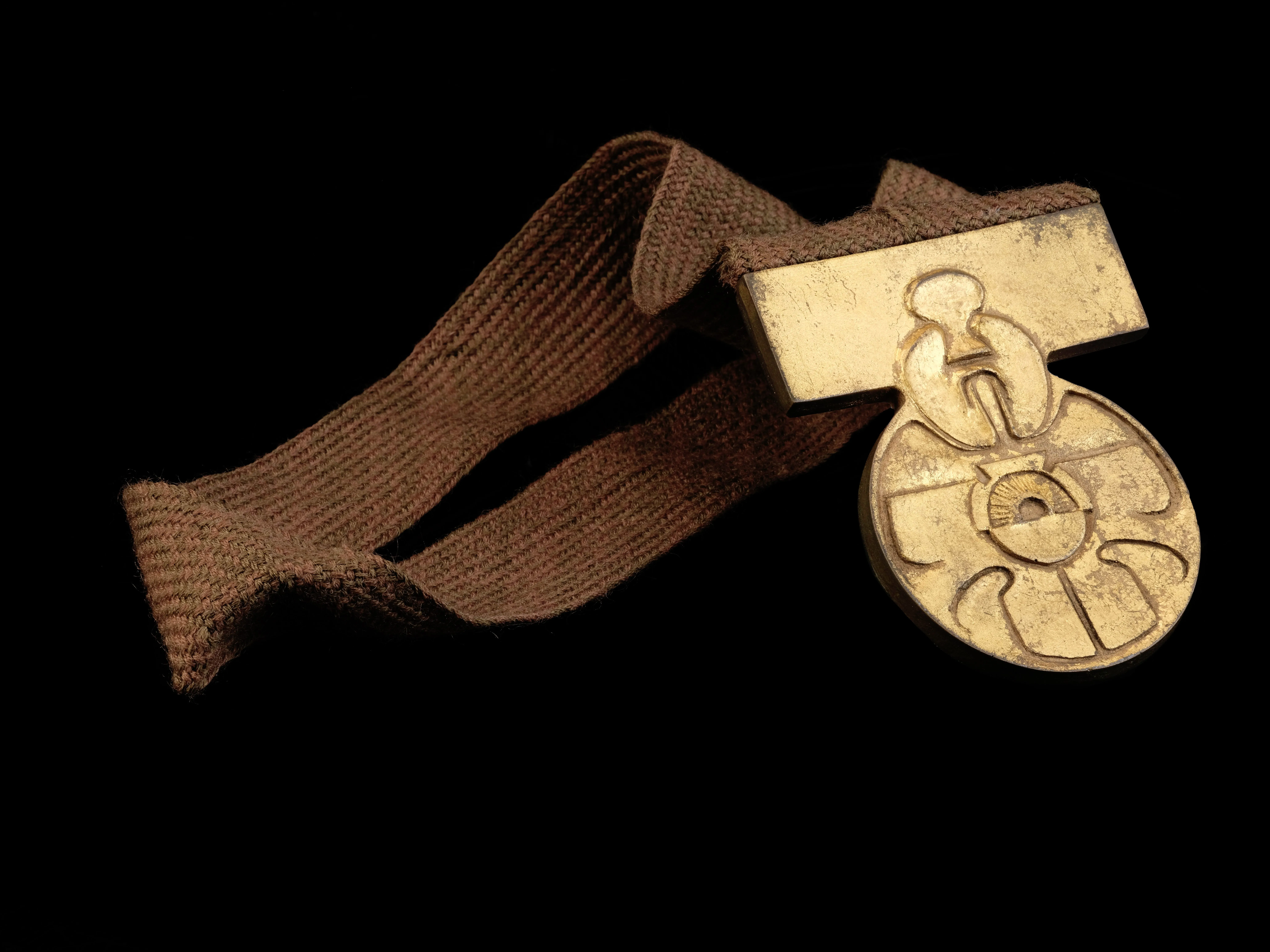 Eine goldene Medaille an einem braunen Halsband.